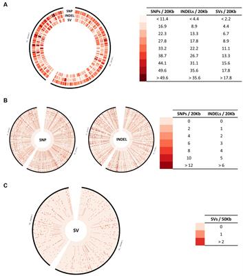 Influence of genomic variations on glanders serodiagnostic antigens using integrative genomic and transcriptomic approaches